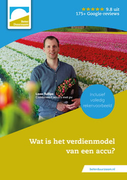 E-book wat is het verdienmodel van een accu inclusief volledig rekenvoorbeeld