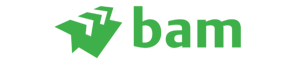 Logo Bam-1